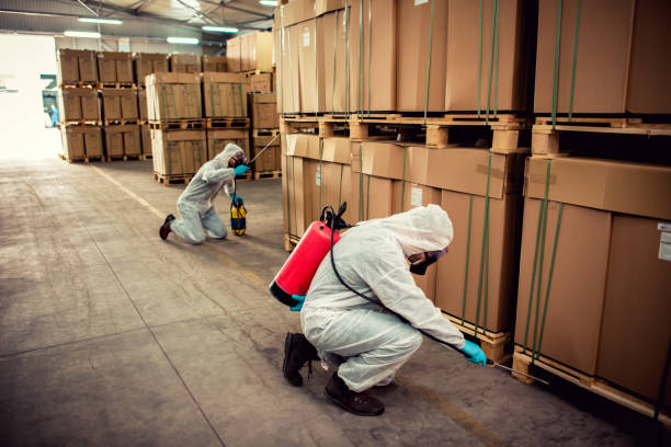 Best Residential Pest Control  in East Orange, NJ