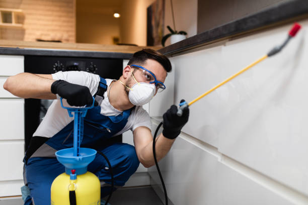 Best Affordable Pest Control Services  in East Orange, NJ