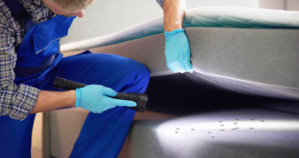 Best Commercial Pest Control Services  in East Orange, NJ