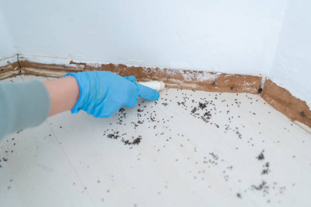 Best Pest Prevention Services  in East Orange, NJ