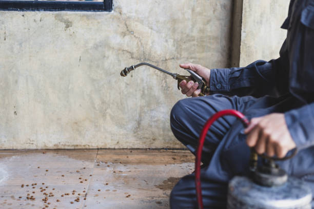 Best Pest Removal Services  in East Orange, NJ