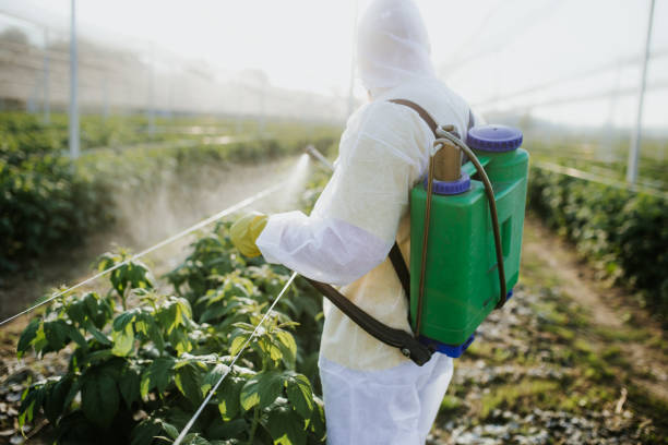 Best Mosquito Control Services  in East Orange, NJ